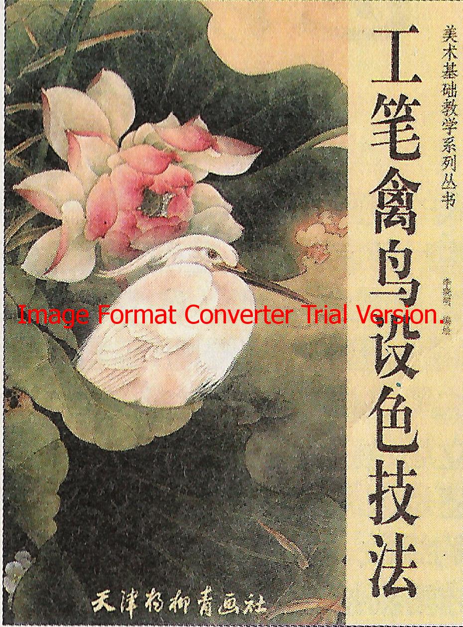 《工笔禽鸟设色技法》